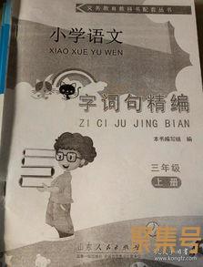 关于语文同步字词句精编（文案素材)