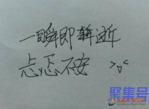 关于形容过的快的词句（文案素材)