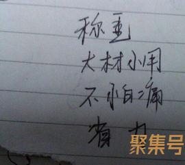 关于五年级优美词句300字（文案素材)