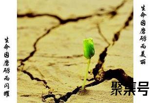 关于常怀感恩之心词句（文案素材)