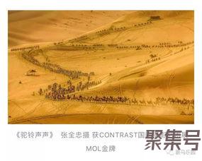 关于历练的词句（文案素材)