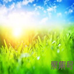 关于中午阳光词句（文案素材)