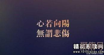 关于形容团队都词句（文案素材)