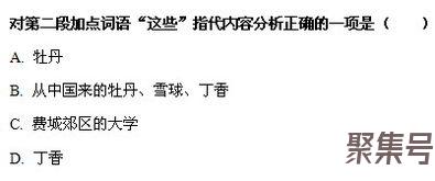 关于散文理解重要词句含义（文案素材)