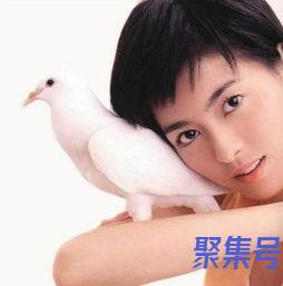 关于小鸟依人词句（文案素材)