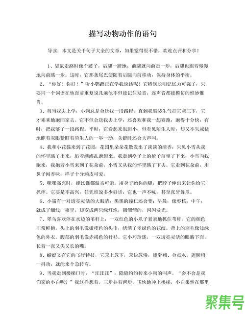 关于表示动物动作的词句（文案素材)