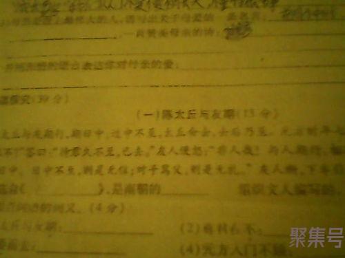 关于赞扬母亲的词句（文案素材)