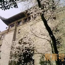 关于心理学中双词句又叫（文案素材)