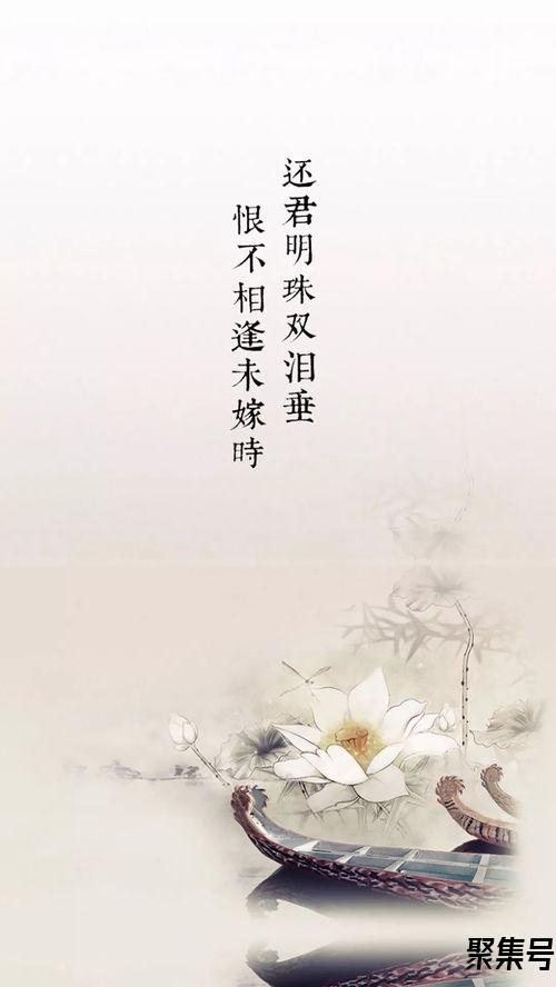 关于唯美的古诗词句后附诗人（文案素材)