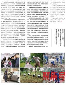 关于赞美物业人员的词句（文案素材)