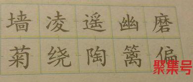 关于我爱学校词句（文案素材)