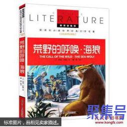 关于推荐荒野的呼唤海狼词句（文案素材)