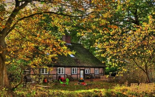 超短晚安句子(简单幽默的晚安句子)