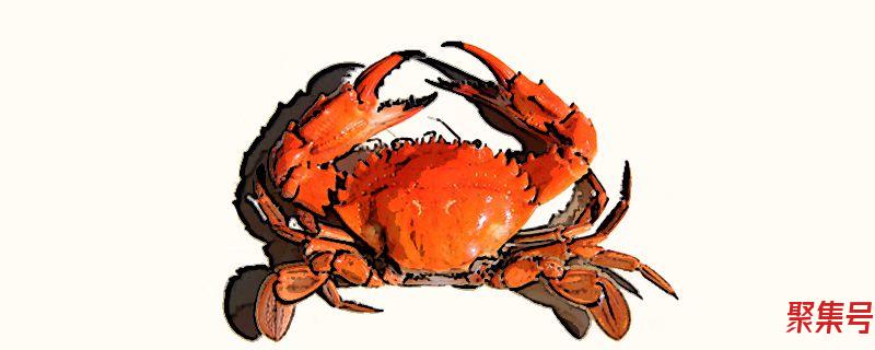 冰冻的大闸蟹可以吃吗(大闸蟹冰冻之后还能吃吗)