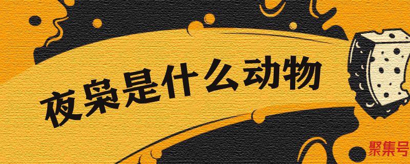 夜枭是什么动物(夜枭镜是什么)