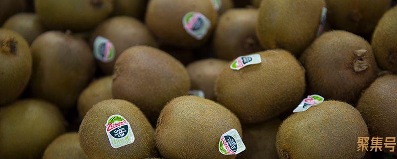 猕猴桃和柿子能同食吗(猕猴桃跟柿子能同食吗)