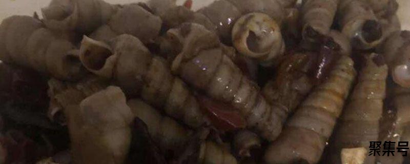 裙边瑶柱肉怎么清洗(新鲜裙边瑶柱肉怎么吃)