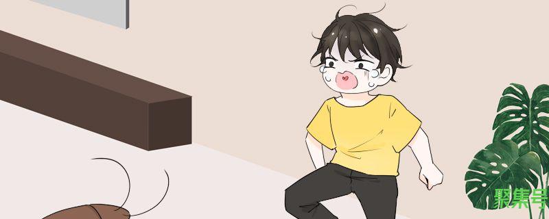 樟脑丸可以防蟑螂吗(天然樟脑丸可以防蟑螂吗)