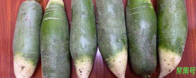 白萝卜冻了还能吃吗(白萝卜冻了以后还能吃吗)