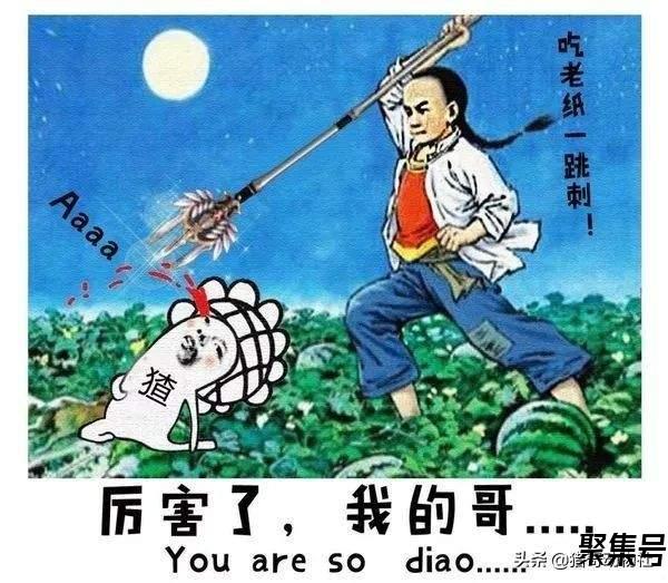 猪獾（猪獾是保护动物吗）