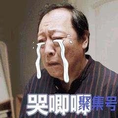 苏大强动态表情包合辑