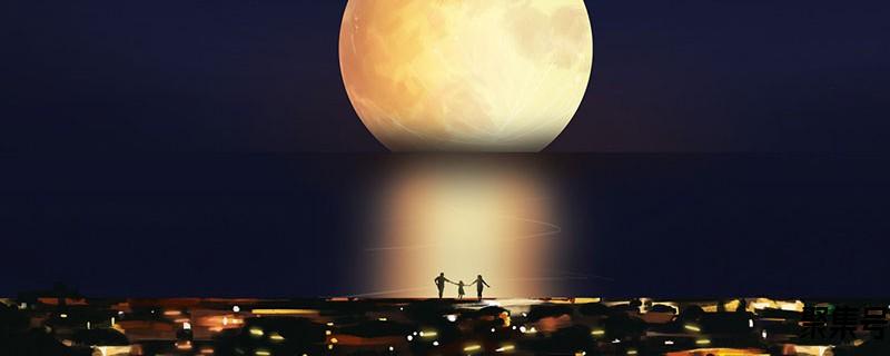 猫乱叼东西怎么办(猫为什么老叼东西给我)