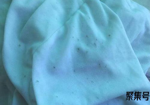 衣服为什么会发霉黑斑(天天洗的衣服为什么会发霉)