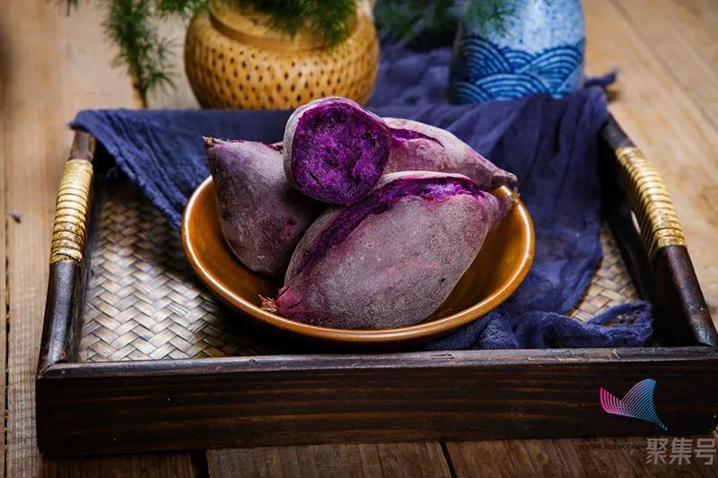 红薯和紫薯有区别吗（紫薯和红薯的区别是什么）