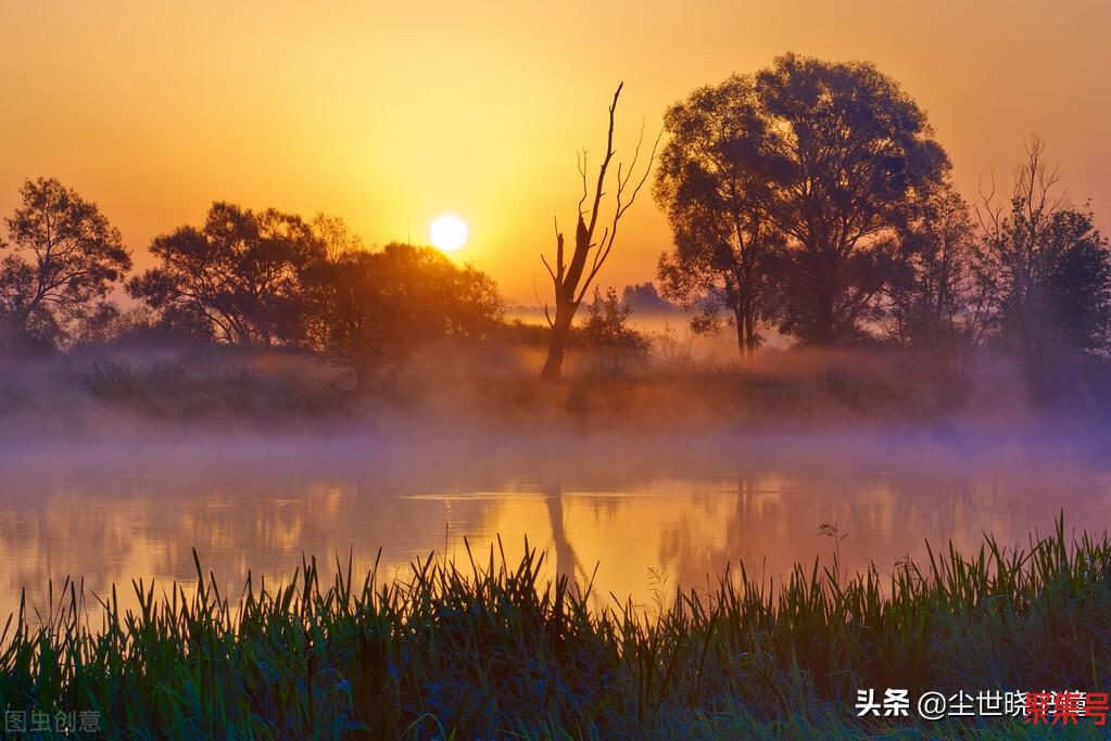 刘禹锡的乌衣巷位于什么地方（乌衣巷是唐代诗人乌衣巷位于什么地方）