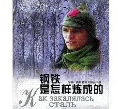 钢铁是怎样炼成的好词好句(钢铁是怎样炼成的好词好句好段摘抄)
