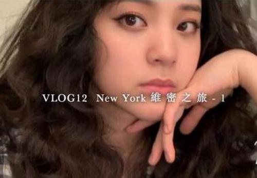 vlog是用什么拍的美颜(vlog是用什么拍的软件)