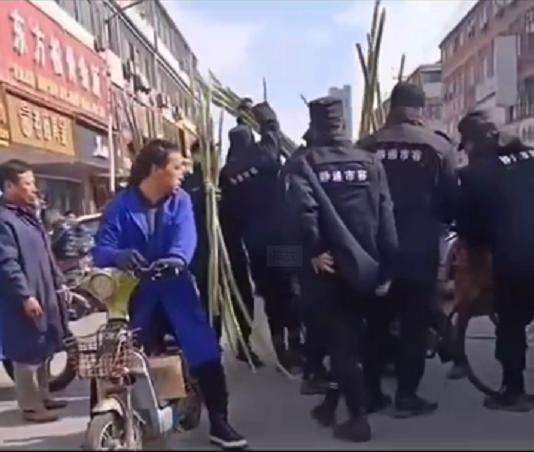 南通老人甘蔗被制服人员粗暴围抢(公司回应)