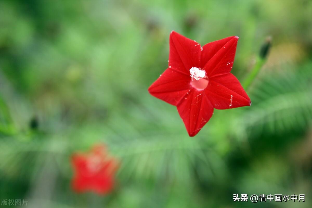 表白情话最暖心一段话（表白情话最暖心长句）