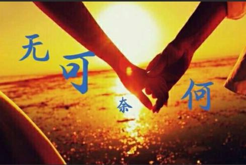 无可奈何造句(无可奈何造句简单的句子)