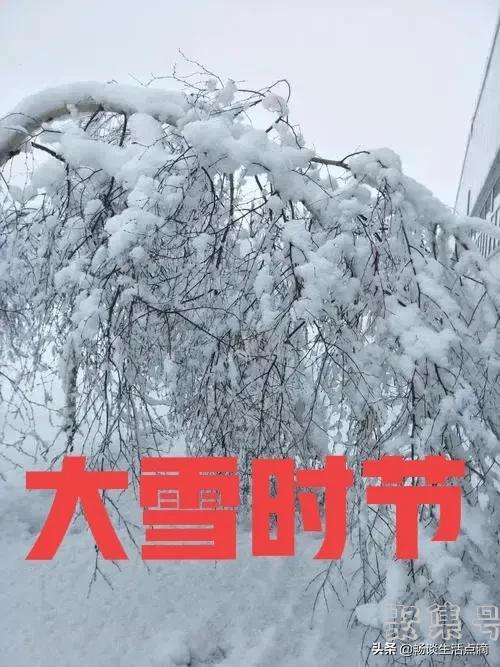 2022年春节冷吗?在几九里面(2022年春节冷不冷)