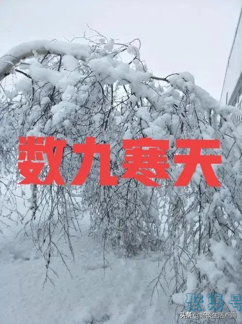 冬至是数九寒天的开始吗(冬至这天是数九的第一天吗)
