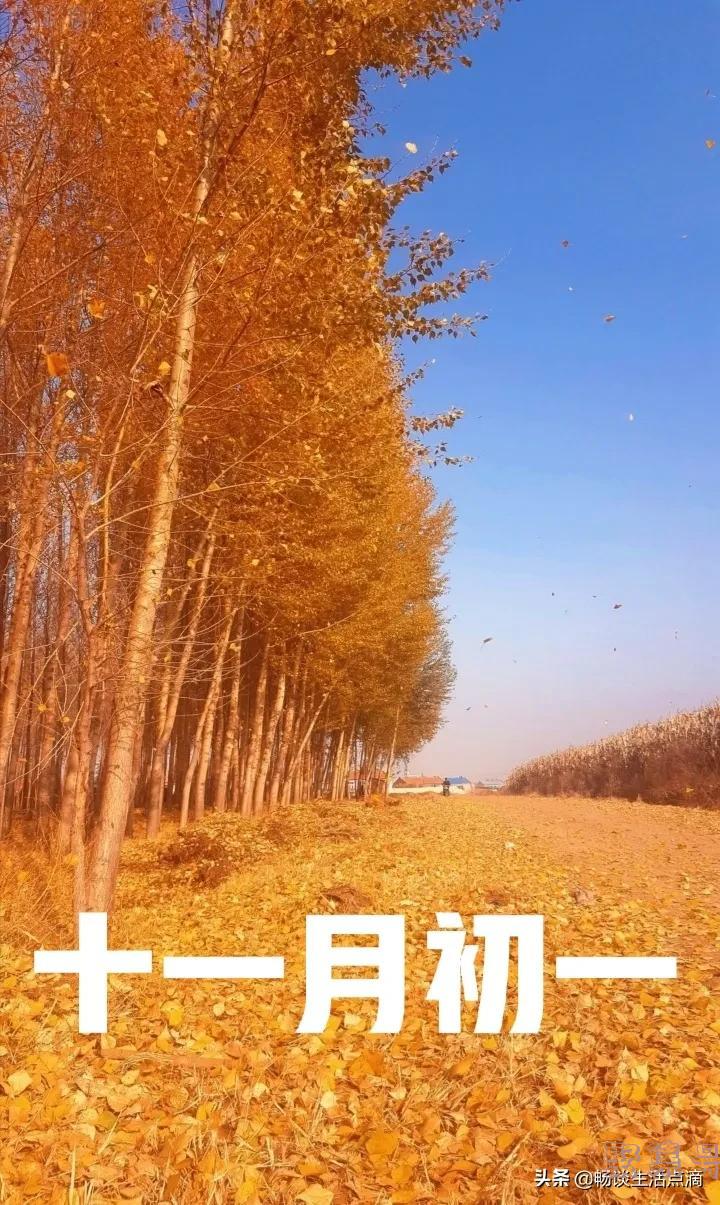 十月初一晴天好还是阴天好(十月初一晴天有什么说法)