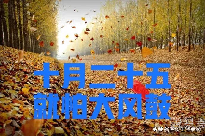 “十月二十五，就怕大风鼓”，啥预兆？什么意思？