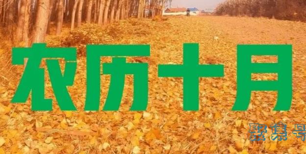 八月冷,九月温,十月还有小阳春的含义(八月暖什么十月还有小阳春)
