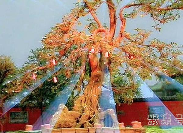 地仙始祖（地仙始祖打孙悟空）