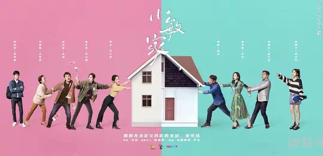 小敏电视剧叫什么名字（《小敏家》反映了哪些现实问题）