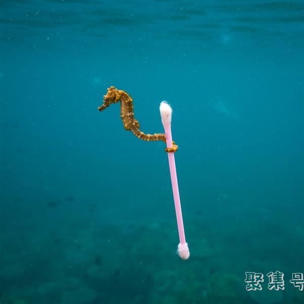国际气象节是几月几日(国际气象节和世界气象日)