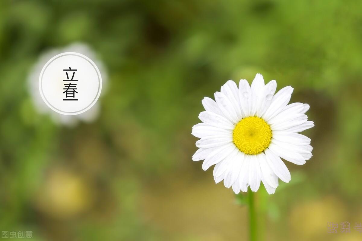 寡妇年是什么意思(寡妇年不能结婚吗)