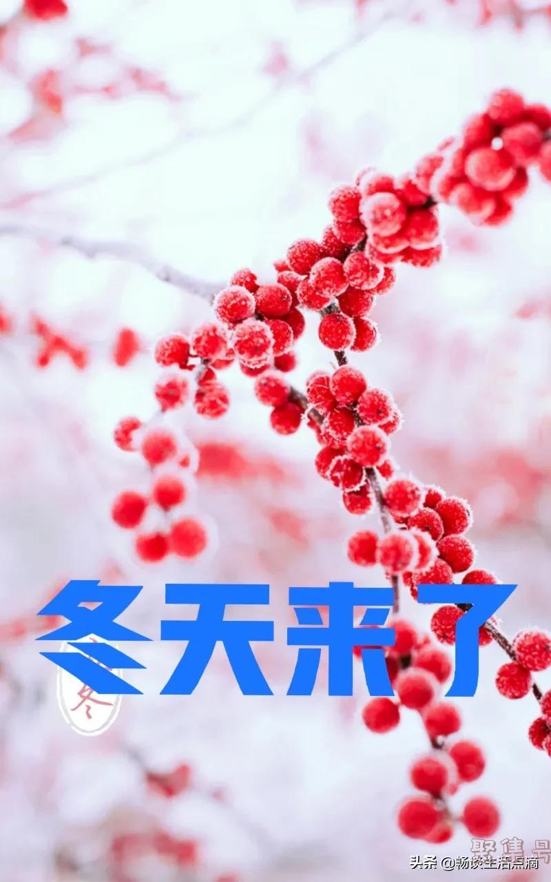 雷打雪古人预兆（雷打雪会意味着什么）