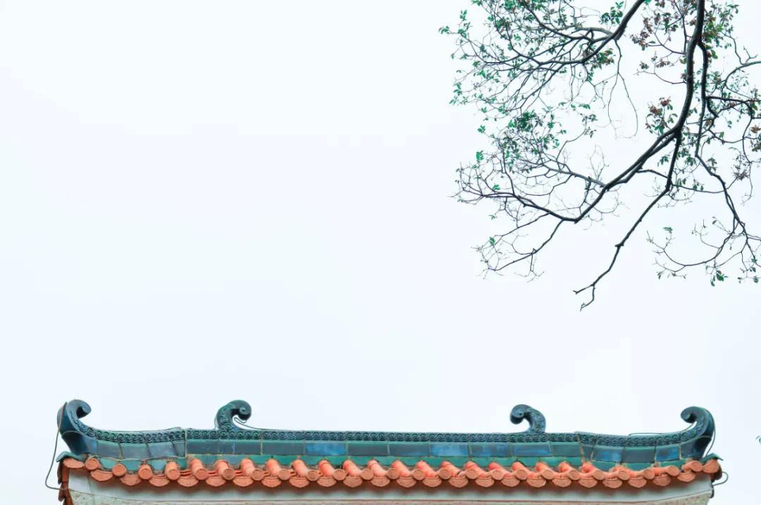 冬至大过年什么意思(冬至大过年是哪里的说法)