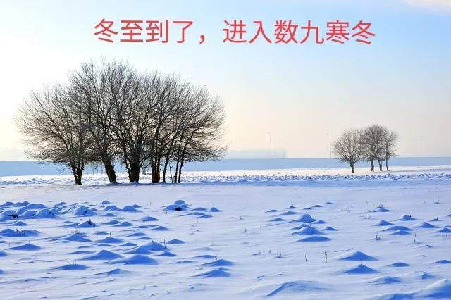 冬至你不知道的小知识(冬至知识我知道)