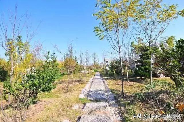 道路绿化施工流程(园林绿化施工管理流程方案)