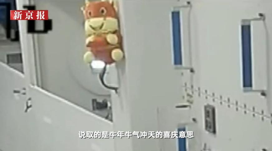 航天员的牛年公仔挂进核心舱(航天员的牛年公仔挂进核心舱二本)