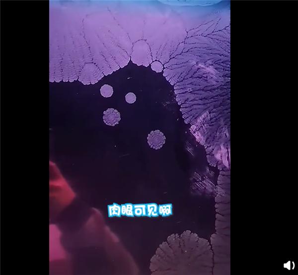 东北冰窗花以肉眼可见速度形成(自然形成的冰窗花)