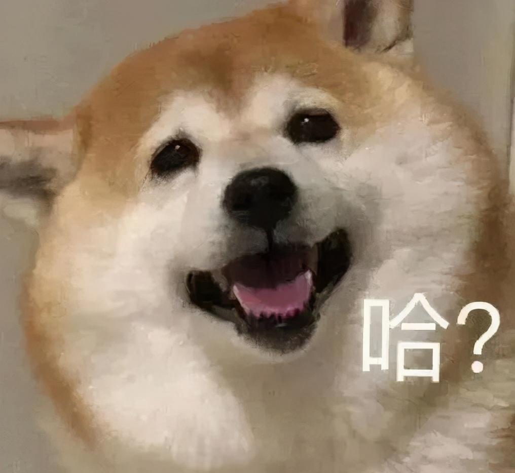上海四大民办小学(上海四大民办小学是哪几个)